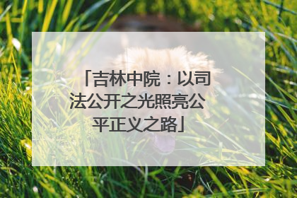 吉林中院：以司法公开之光照亮公平正义之路